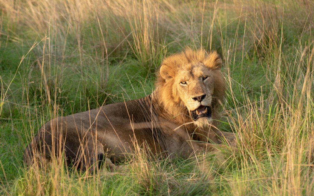 7 Days Murchsion & Kidepo Uganda Safaris