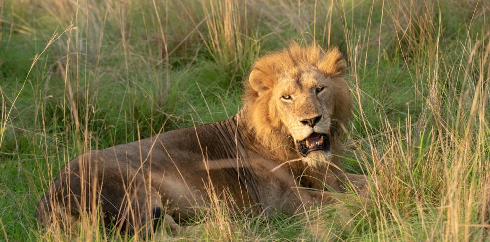 7 Days Murchsion & Kidepo Uganda Safaris