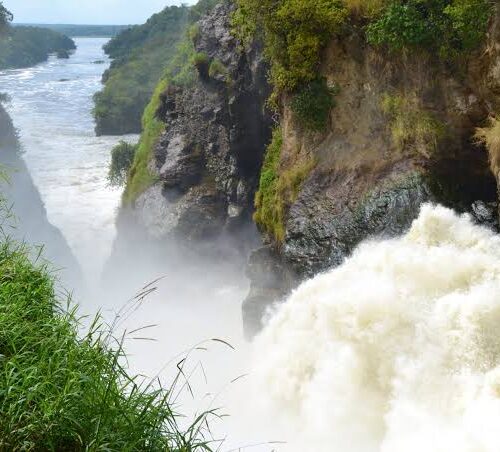 7Day Kidepo and Murchson Falls Safaris